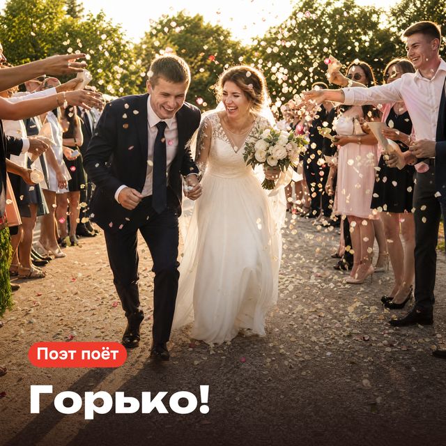 Обложка песни «Горько!»